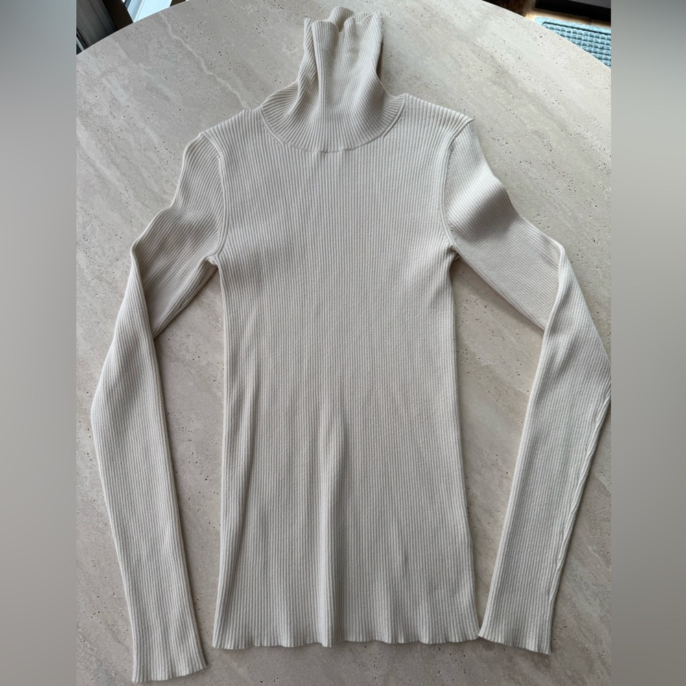 Aritzia Babaton Matte Pearl Compel Slinky Turtleneck medium